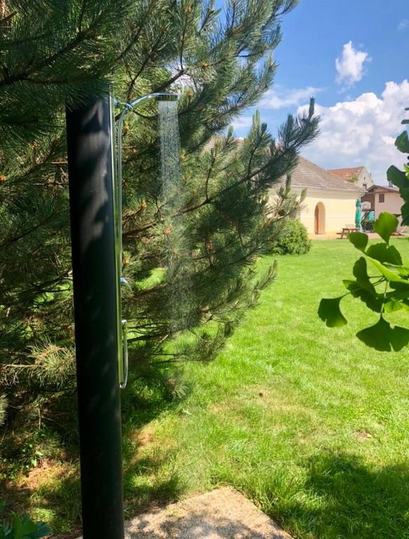 Okolie – cesta a zeleň